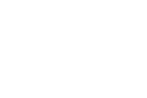 Aurrigo_600
