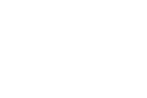 Bridges_600