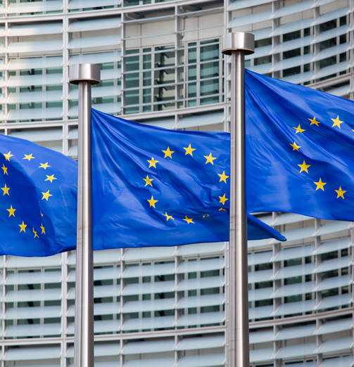 Election 2014 Insight The European Parliament Elections – What next?