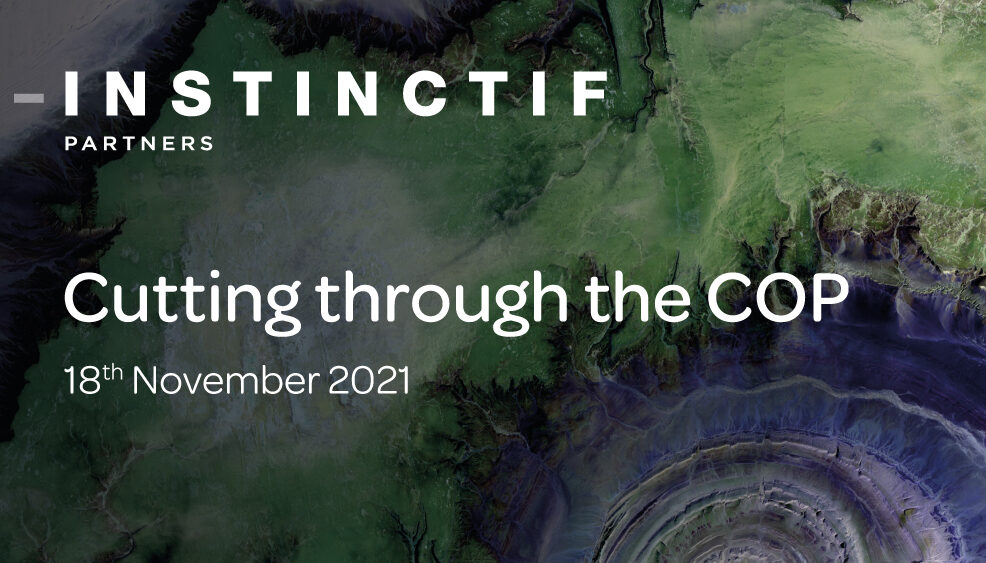 Cutting through the COP – 18 November 2021