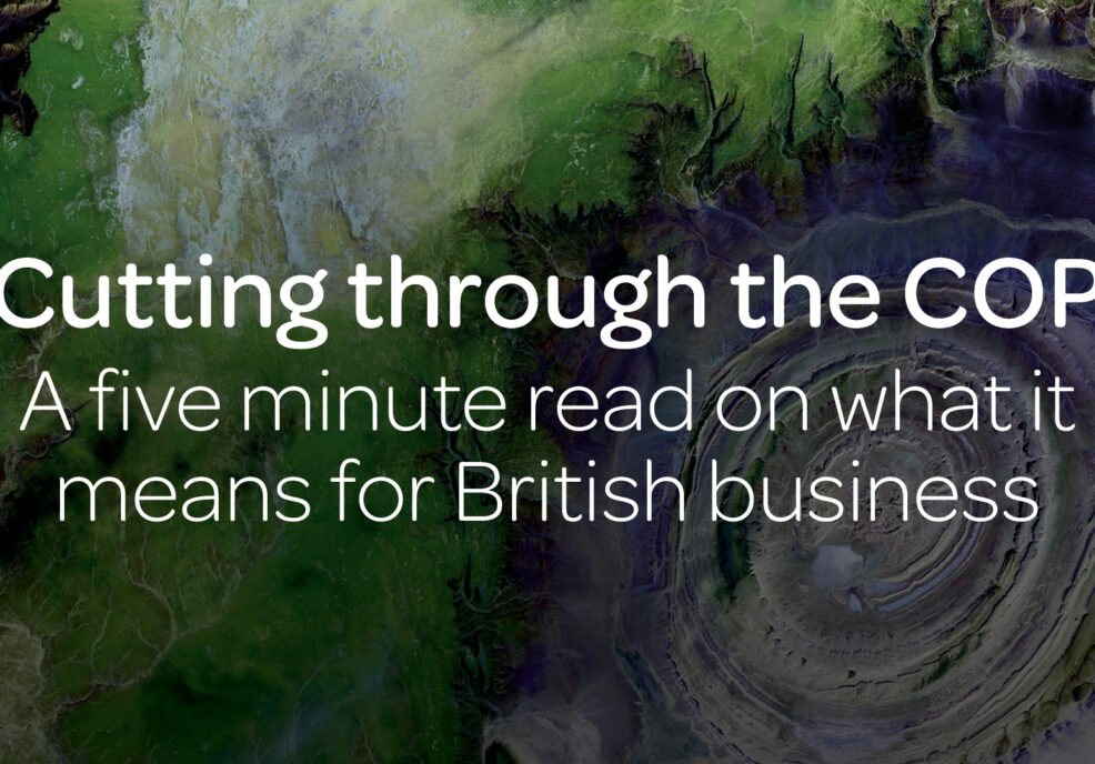 Cutting through the COP – a five minute read on what it means for British business