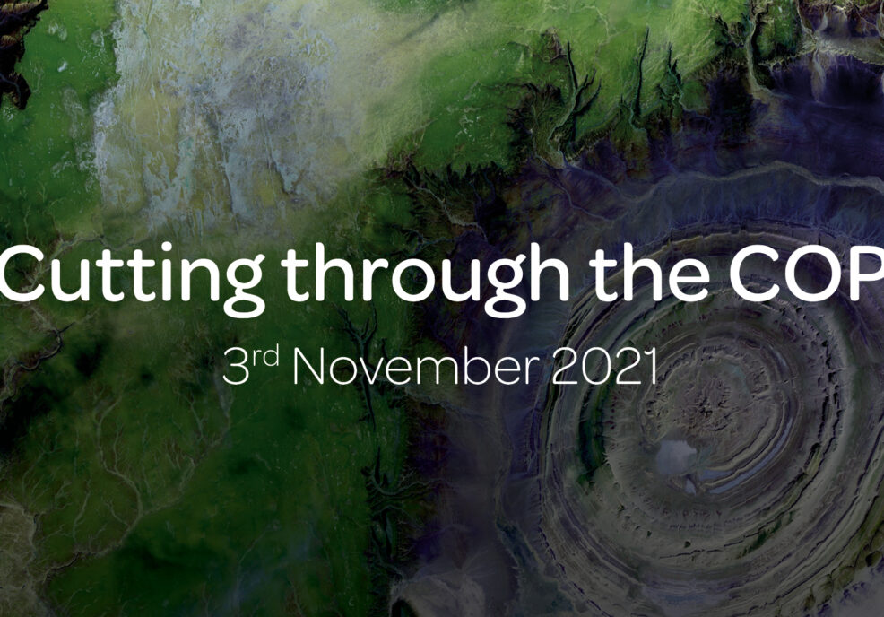 Cutting through the COP – 3 November 2021