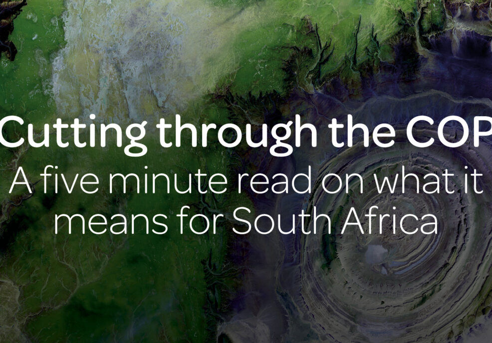 Cutting through the COP – a five minute read on what it means for South Africa