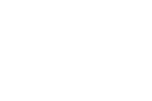 DSM_600