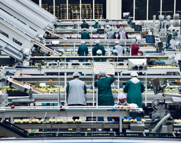 food safety production line