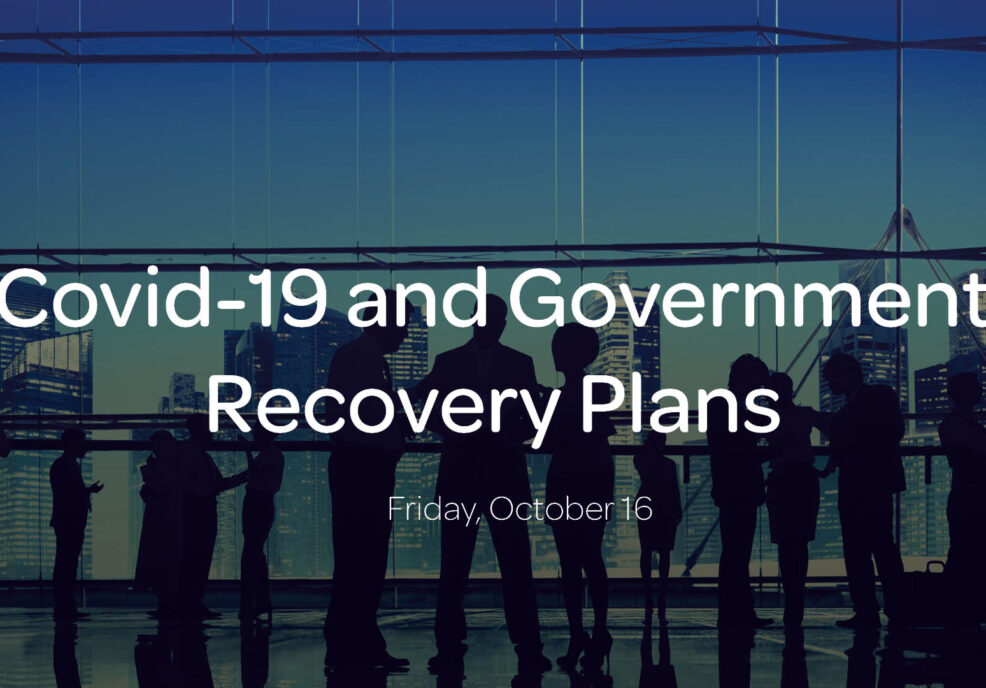Covid-19 and Government Recovery Plans