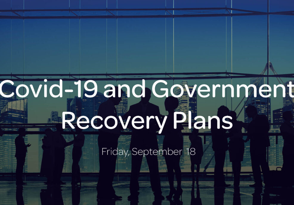 Covid-19 and Government Recovery Plans