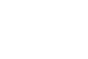Flexion Energy_600