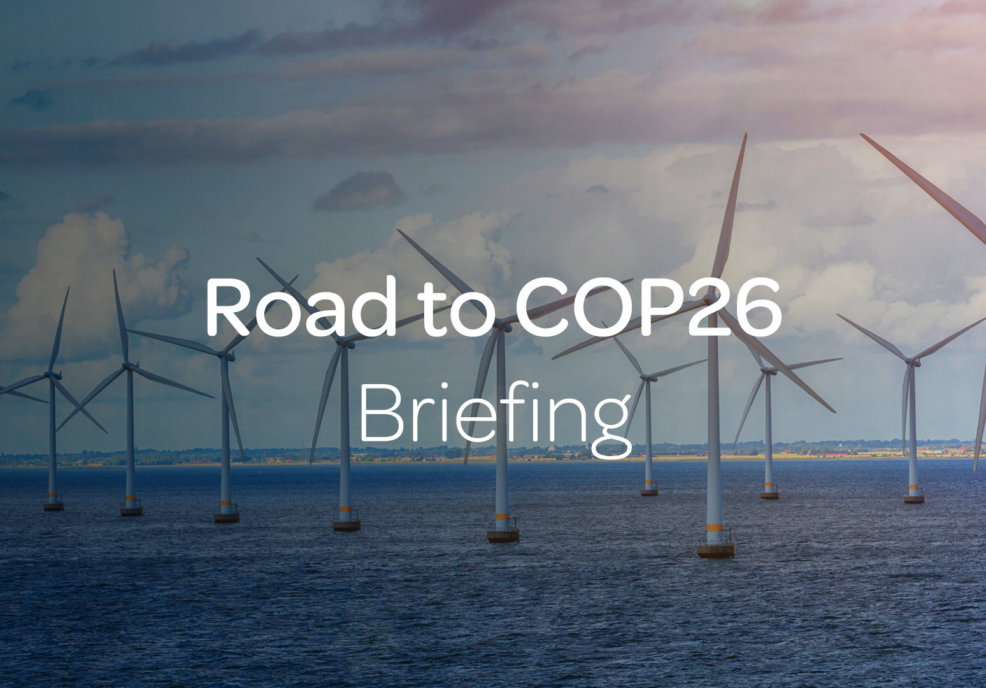 COP26 Roadmap Briefing
