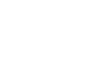 SAP_600