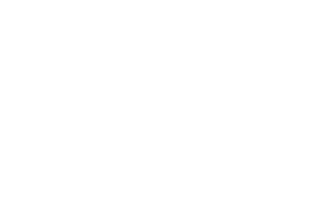 World Gold Council_600