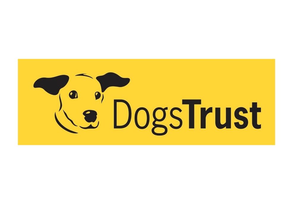 Neue Gesetz­gebung rund um Online-Werbung für den Kauf von Hunden